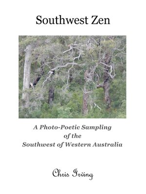 cover image of Southwest Zen